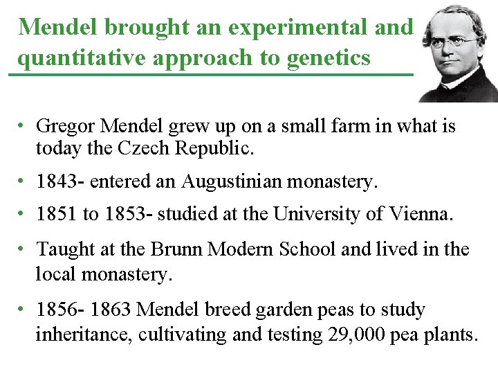 Mendel brought an experimental and quantitative approach to genetics • Gregor Mendel grew up