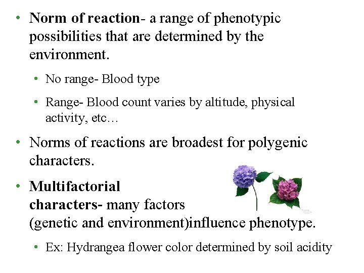  • Norm of reaction- a range of phenotypic possibilities that are determined by