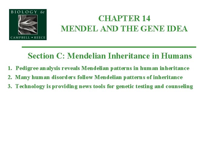 CHAPTER 14 MENDEL AND THE GENE IDEA Section C: Mendelian Inheritance in Humans 1.