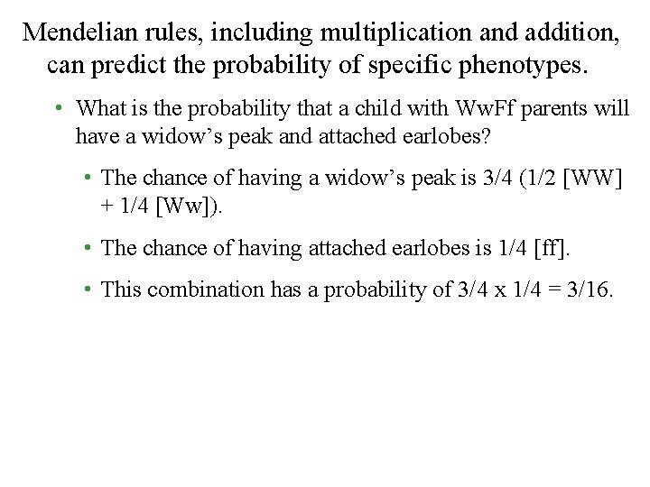 Mendelian rules, including multiplication and addition, can predict the probability of specific phenotypes. •