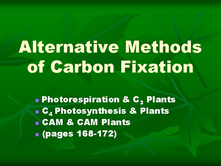 Alternative Methods of Carbon Fixation Photorespiration & C 3 Plants n C 4 Photosynthesis