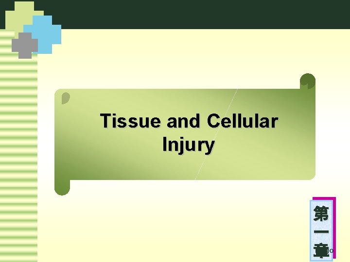 Tissue and Cellular Injury 第 一 Logo 章 