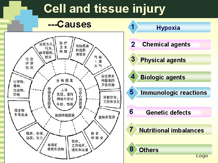 Cell and tissue injury ---Causes 1 Hypoxia 2 Chemical agents 3 Physical agents 4