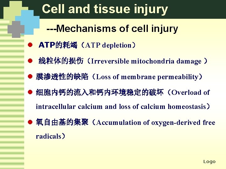 Cell and tissue injury ---Mechanisms of cell injury l ATP的耗竭（ATP depletion） l 线粒体的损伤（Irreversible mitochondria