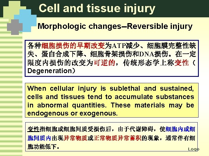 Cell and tissue injury Morphologic changes--Reversible injury 各种细胞损伤的早期改变为ATP减少、细胞膜完整性缺 失、蛋白合成下降、细胞骨架损伤和DNA损伤。在一定 限度内损伤的改变为可逆的，传统形态学上称变性（ Degeneration） When cellular injury