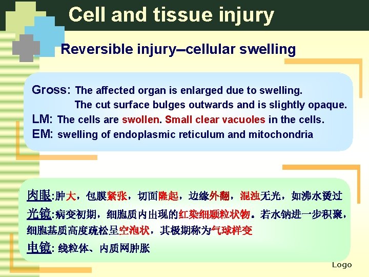 Cell and tissue injury Reversible injury--cellular swelling Gross: The affected organ is enlarged due