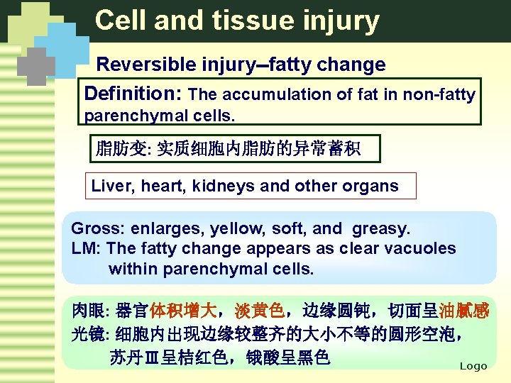 Cell and tissue injury Reversible injury--fatty change Definition: The accumulation of fat in non-fatty