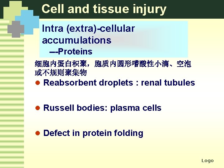 Cell and tissue injury Intra (extra)-cellular accumulations ---Proteins 细胞内蛋白积聚，胞质内圆形嗜酸性小滴、空泡 或不规则聚集物 l Reabsorbent droplets :