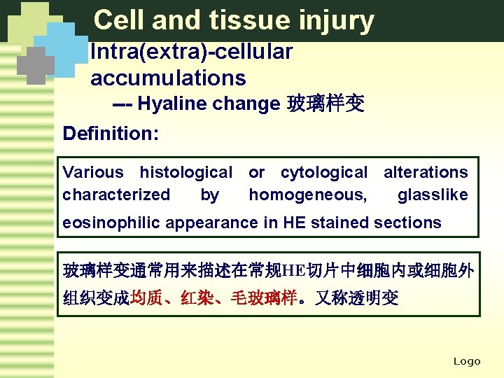 Cell and tissue injury Intra(extra)-cellular accumulations --- Hyaline change 玻璃样变 Definition: Various histological or