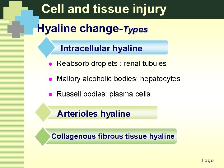 Cell and tissue injury Hyaline change-Types Intracellular hyaline l Reabsorb droplets : renal tubules