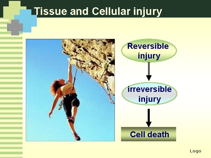 Tissue and Cellular injury Reversible injury irreversible injury Cell death Logo 