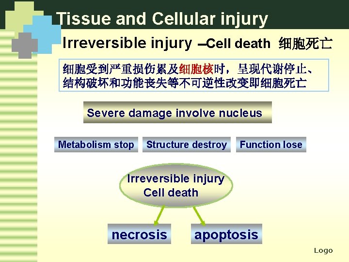 Tissue and Cellular injury Irreversible injury --Cell death 细胞死亡 细胞受到严重损伤累及细胞核时，呈现代谢停止、 结构破坏和功能丧失等不可逆性改变即细胞死亡 Severe damage involve