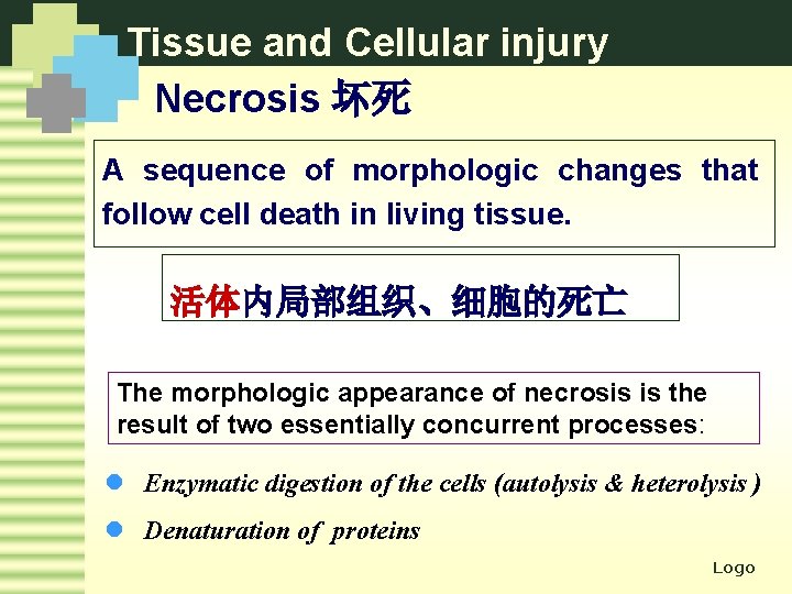 Tissue and Cellular injury Necrosis 坏死 A sequence of morphologic changes that follow cell