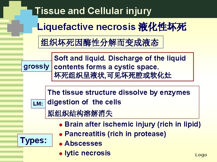 Tissue and Cellular injury Liquefactive necrosis 液化性坏死 组织坏死因酶性分解而变成液态 Soft and liquid. Discharge of the