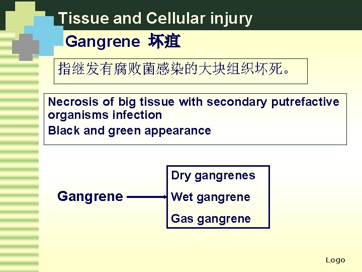 Tissue and Cellular injury Gangrene 坏疽 指继发有腐败菌感染的大块组织坏死。 Necrosis of big tissue with secondary putrefactive