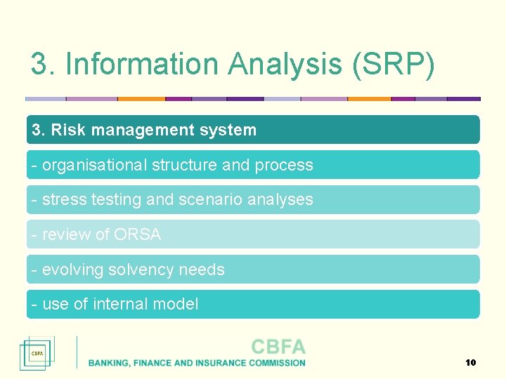 3. Information Analysis (SRP) 3. Risk management system - organisational structure and process -