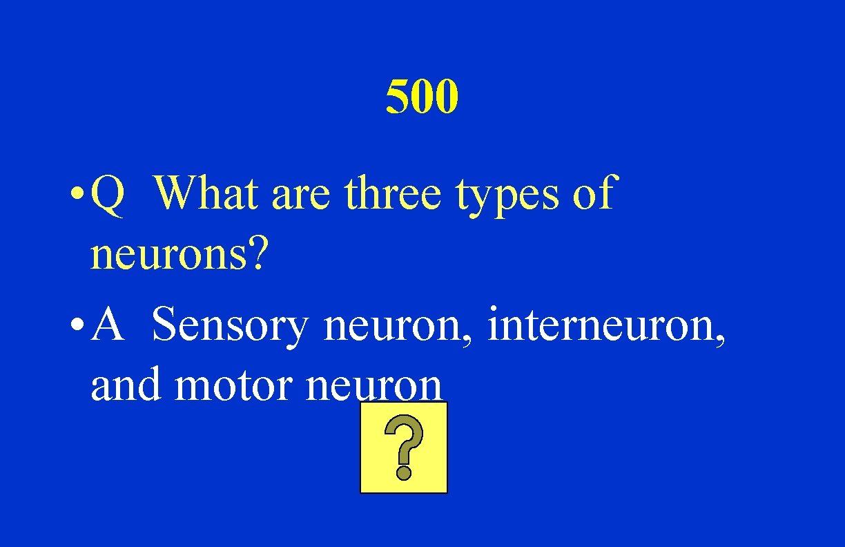 500 • Q What are three types of neurons? • A Sensory neuron, interneuron,