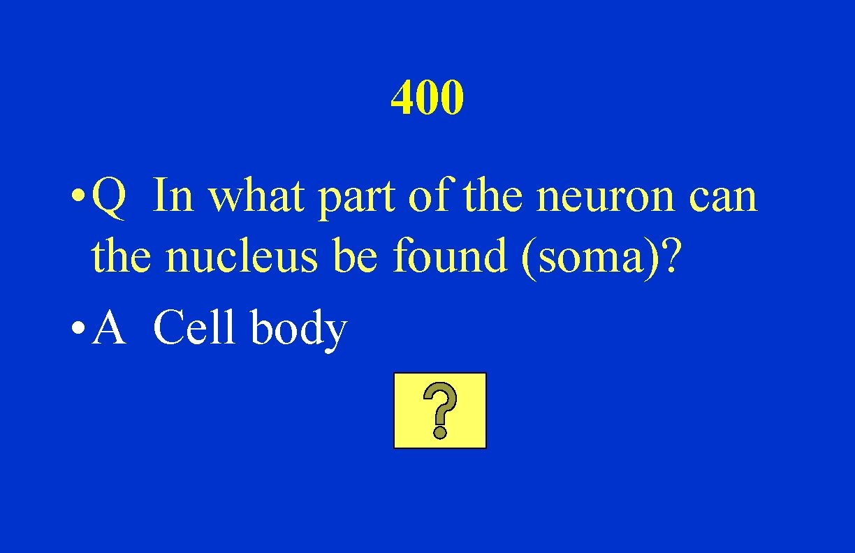 400 • Q In what part of the neuron can the nucleus be found