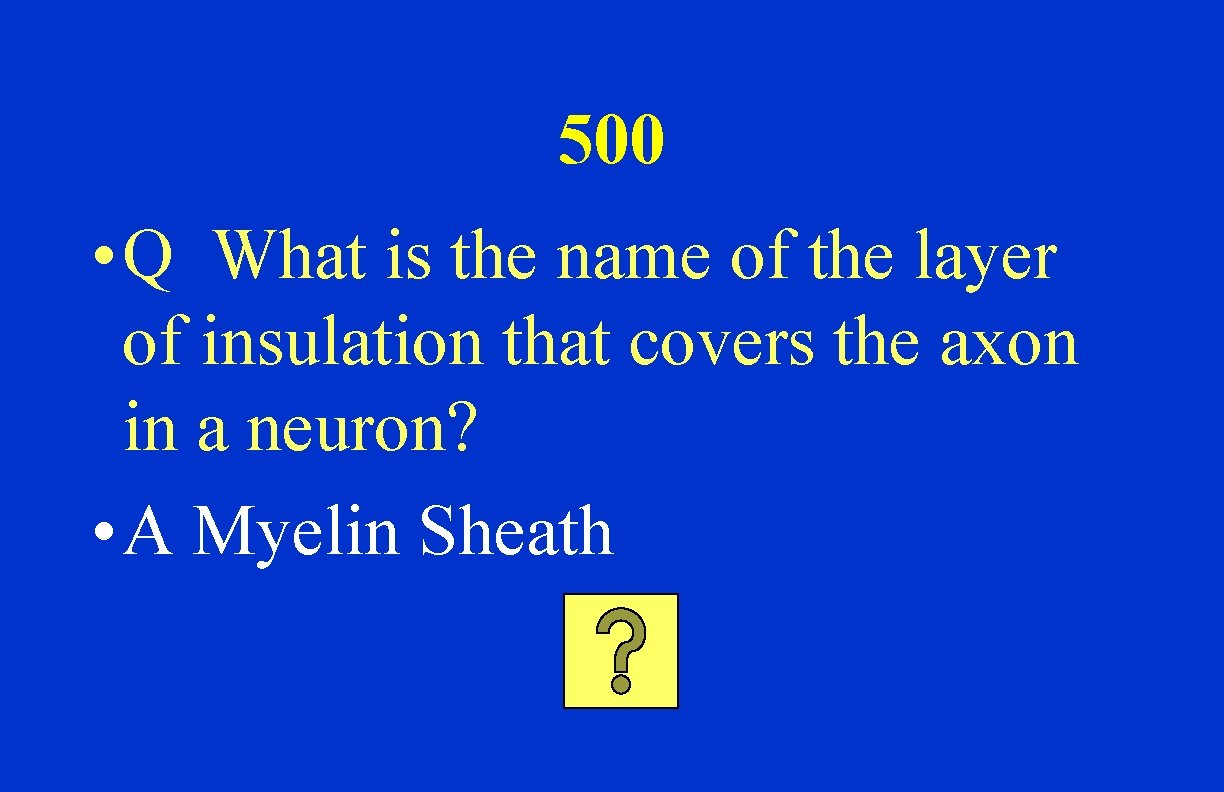 500 • Q What is the name of the layer of insulation that covers