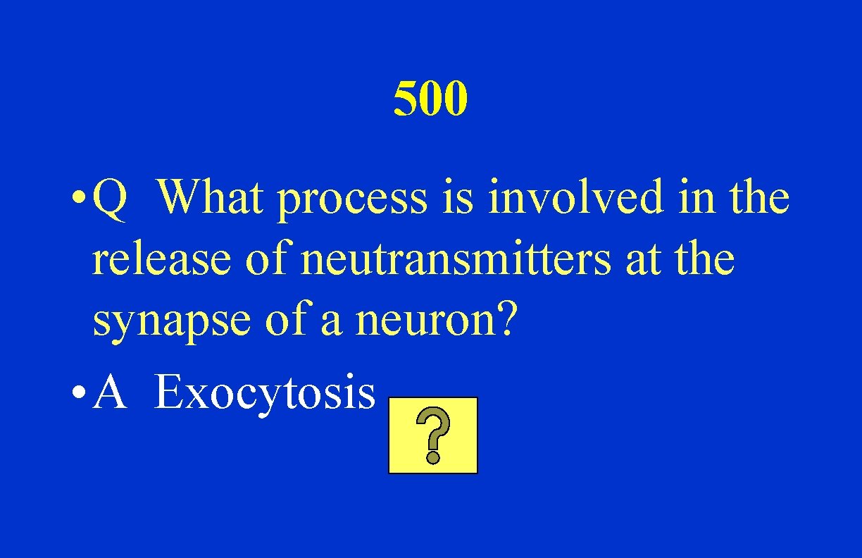 500 • Q What process is involved in the release of neutransmitters at the
