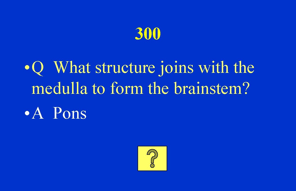 300 • Q What structure joins with the medulla to form the brainstem? •