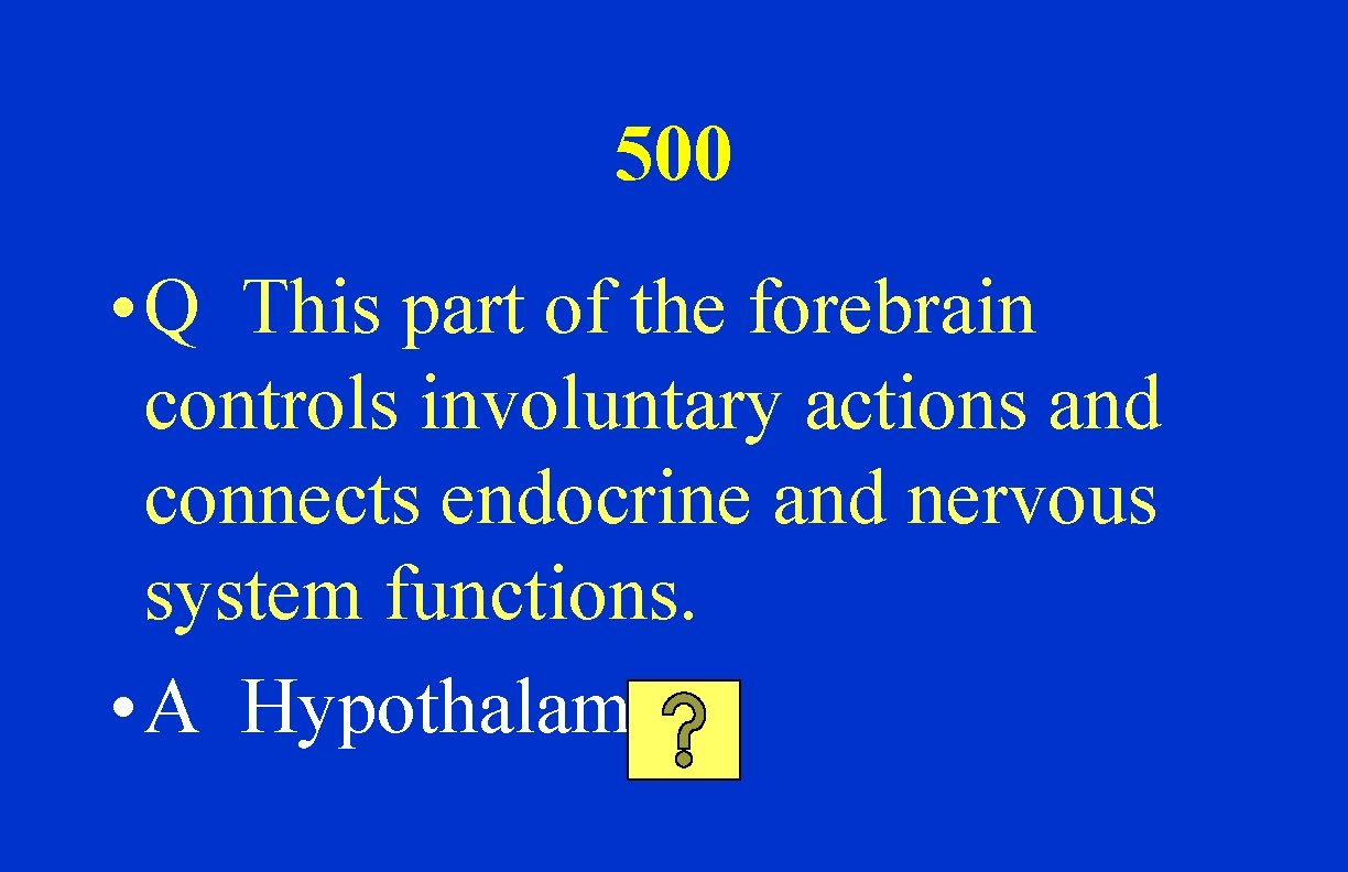 500 • Q This part of the forebrain controls involuntary actions and connects endocrine