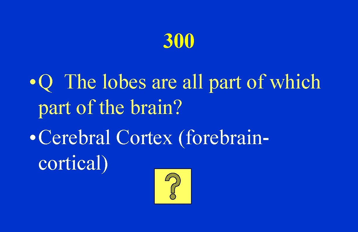 300 • Q The lobes are all part of which part of the brain?