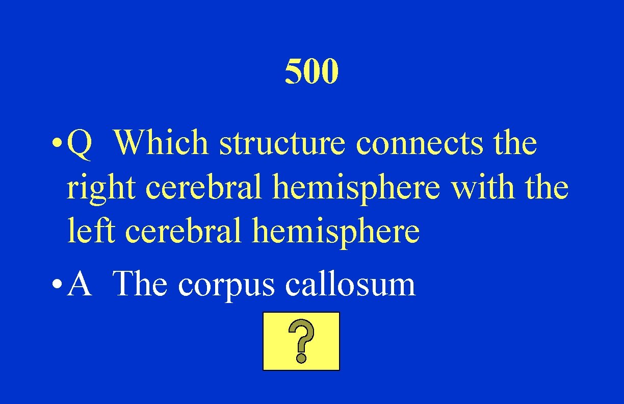 500 • Q Which structure connects the right cerebral hemisphere with the left cerebral