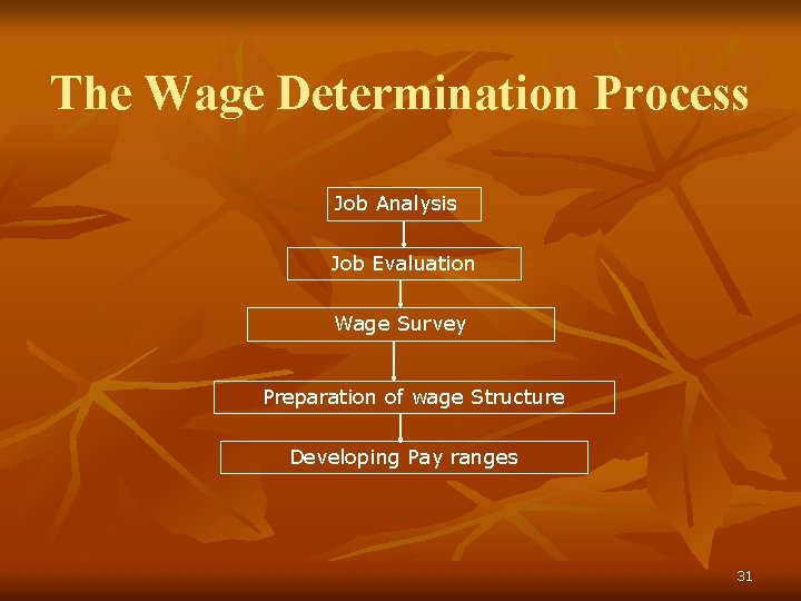 The Wage Determination Process Job Analysis Job Evaluation Wage Survey Preparation of wage Structure