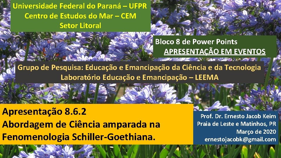 Universidade Federal do Paraná – UFPR Centro de Estudos do Mar – CEM Setor