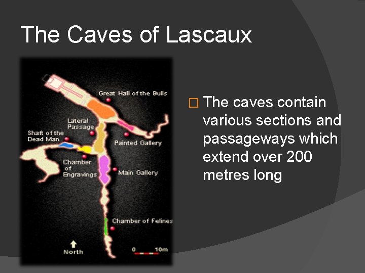 The Caves of Lascaux � The caves contain various sections and passageways which extend