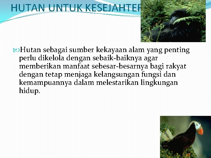 HUTAN UNTUK KESEJAHTERAAN Hutan sebagai sumber kekayaan alam yang penting perlu dikelola dengan sebaik-baiknya