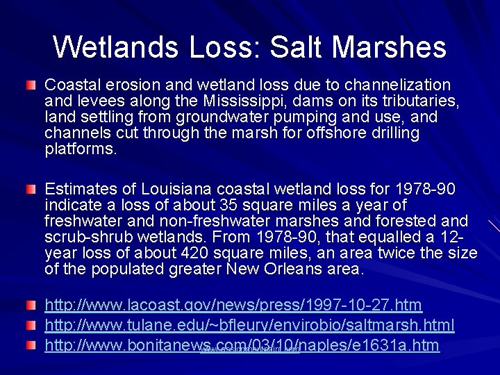 Wetlands Loss: Salt Marshes Coastal erosion and wetland loss due to channelization and levees