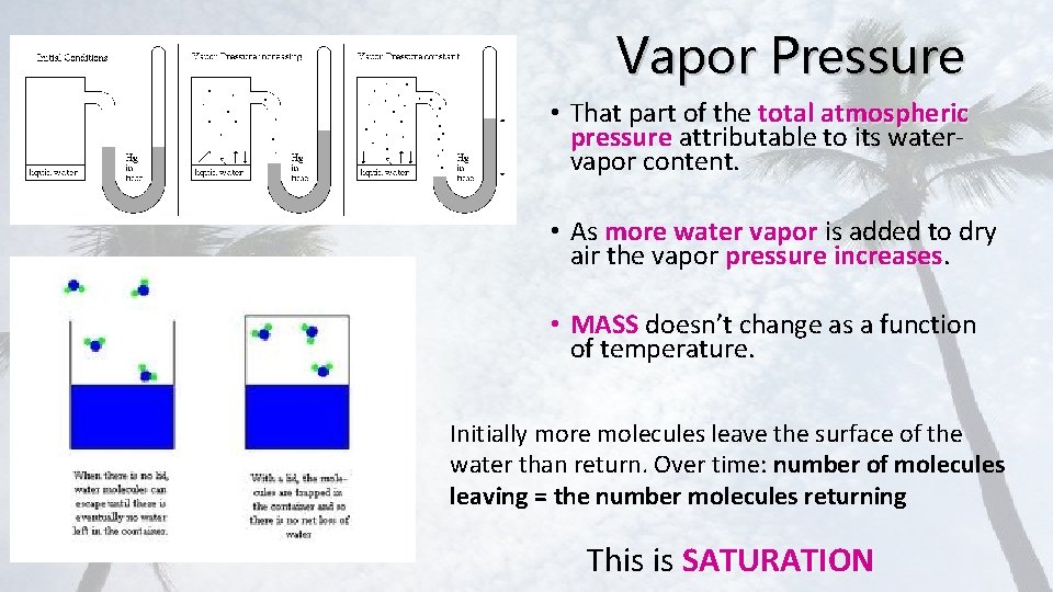 Vapor Pressure • That part of the total atmospheric pressure attributable to its watervapor