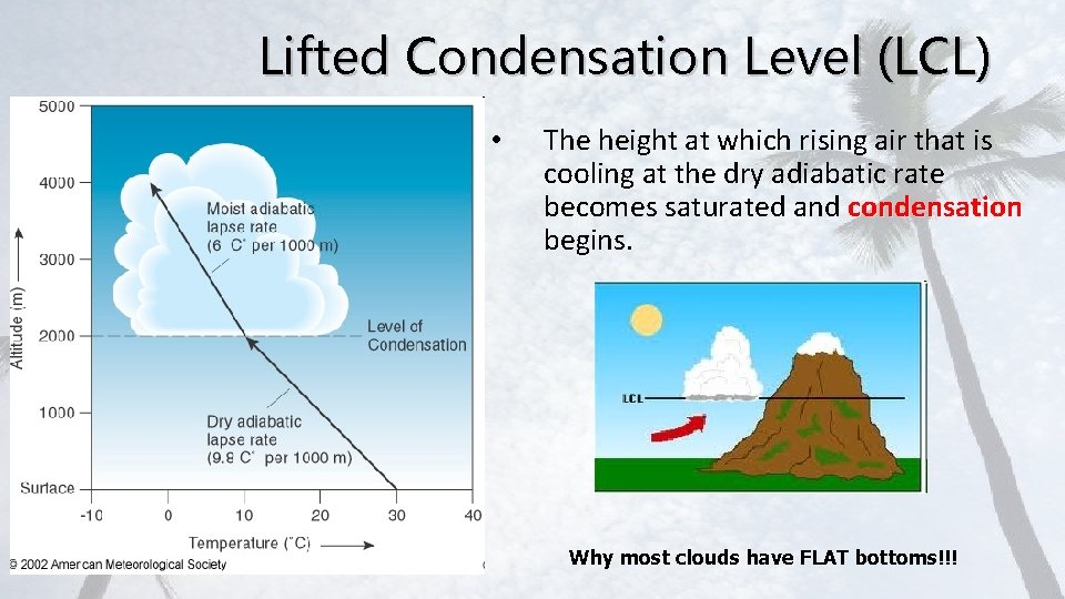 Lifted Condensation Level (LCL) • The height at which rising air that is cooling