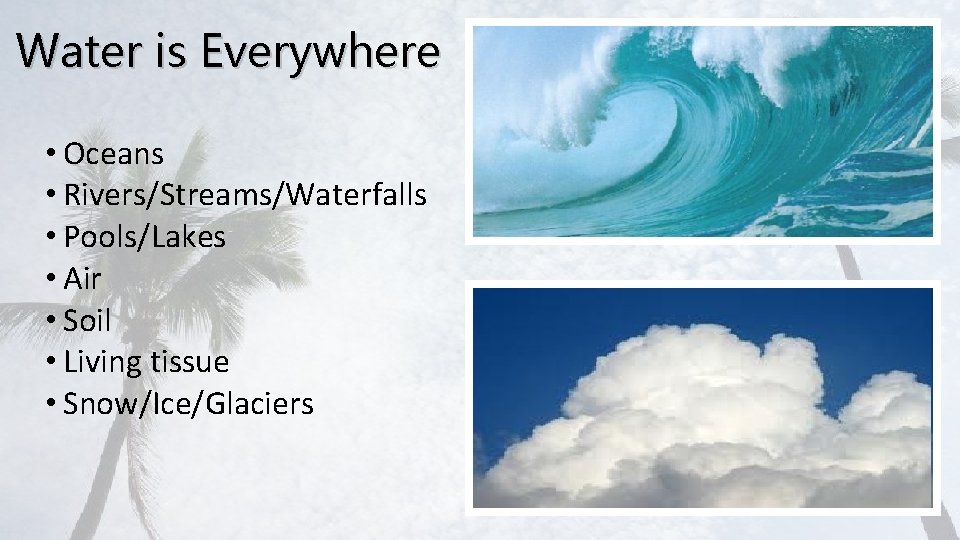 Water is Everywhere • Oceans • Rivers/Streams/Waterfalls • Pools/Lakes • Air • Soil •