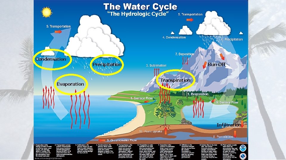 “The Hydrologic Cycle” Condensation Evaporation Precipitation Run Off Transpiration Infiltration 