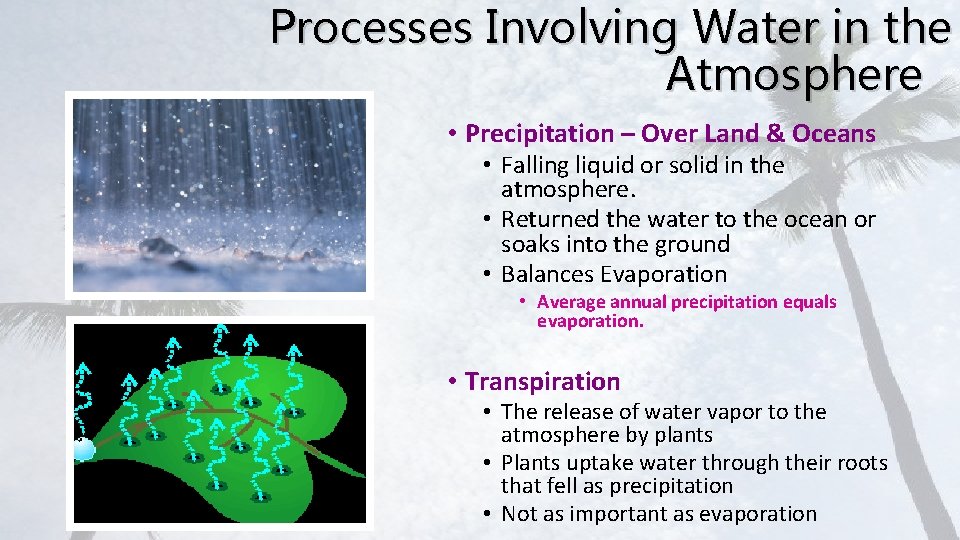 Processes Involving Water in the Atmosphere • Precipitation – Over Land & Oceans •