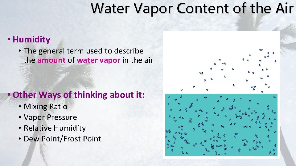 Water Vapor Content of the Air • Humidity • The general term used to