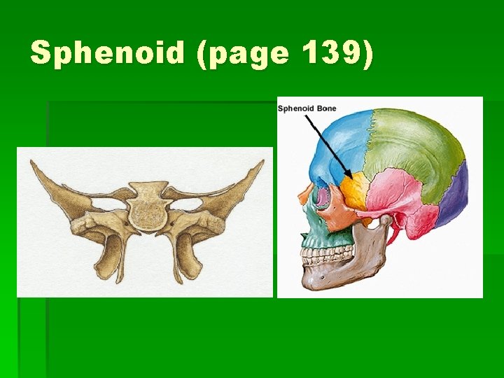 Sphenoid (page 139) 
