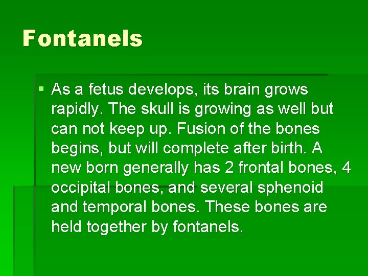 Fontanels § As a fetus develops, its brain grows rapidly. The skull is growing
