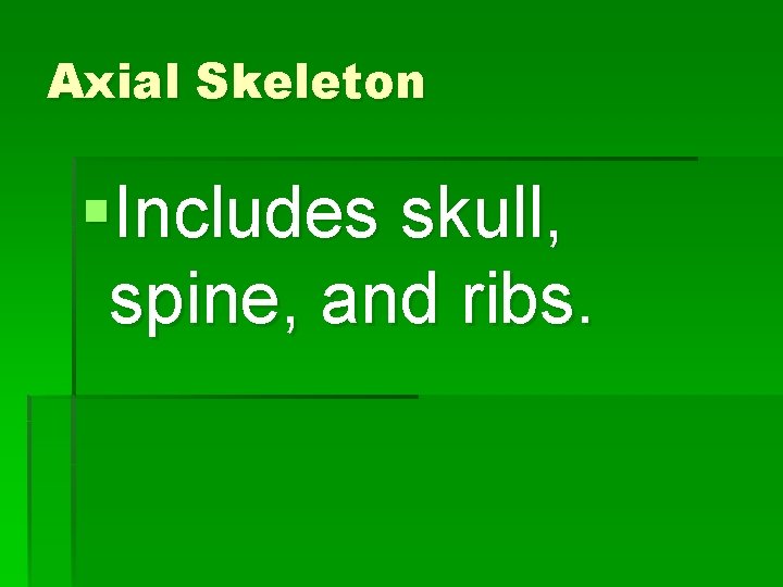 Axial Skeleton §Includes skull, spine, and ribs. 