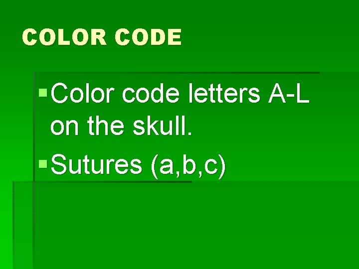 COLOR CODE § Color code letters A-L on the skull. § Sutures (a, b,