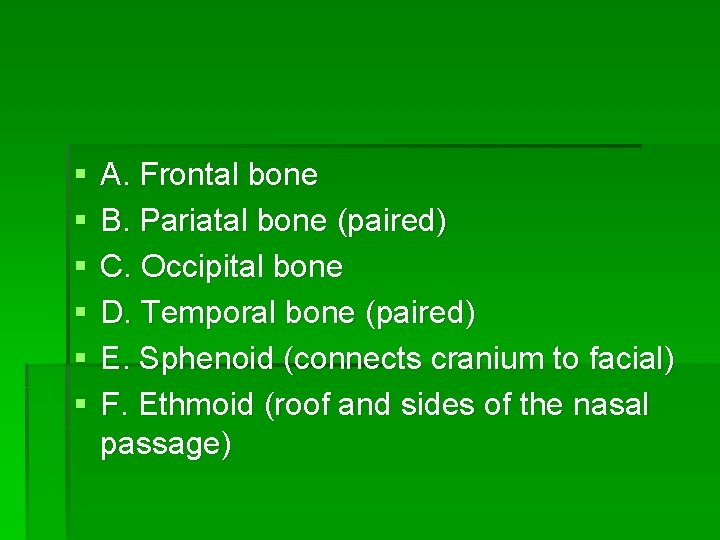 § § § A. Frontal bone B. Pariatal bone (paired) C. Occipital bone D.