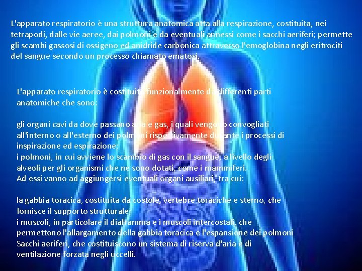 L'apparato respiratorio è una struttura anatomica atta alla respirazione, costituita, nei tetrapodi, dalle vie