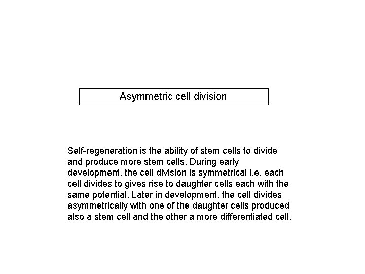 Asymmetric cell division Self-regeneration is the ability of stem cells to divide and produce