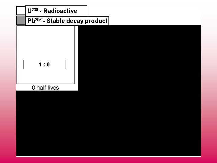 U 238 - Radioactive Pb 206 - Stable decay product 1/4 1: 0 1/8