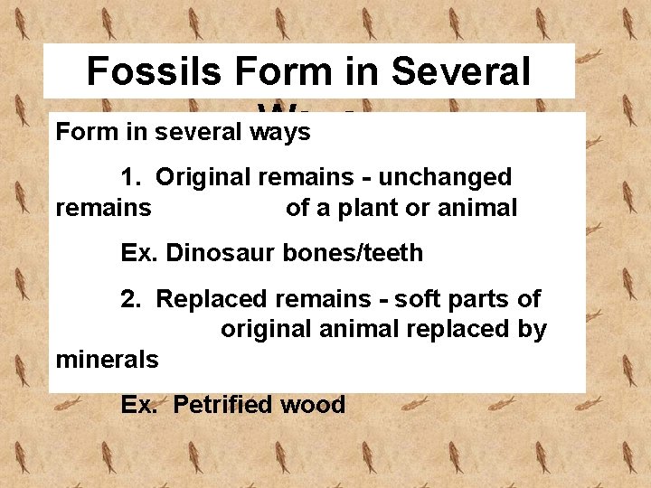 Fossils Form in Several Ways Form in several ways 1. Original remains - unchanged