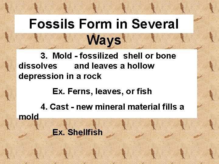 Fossils Form in Several Ways 3. Mold - fossilized shell or bone dissolves and