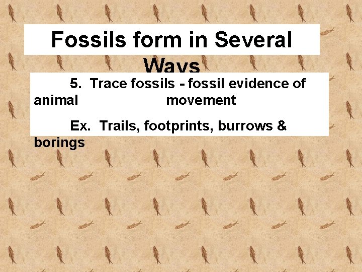 Fossils form in Several Ways 5. Trace fossils - fossil evidence of animal movement